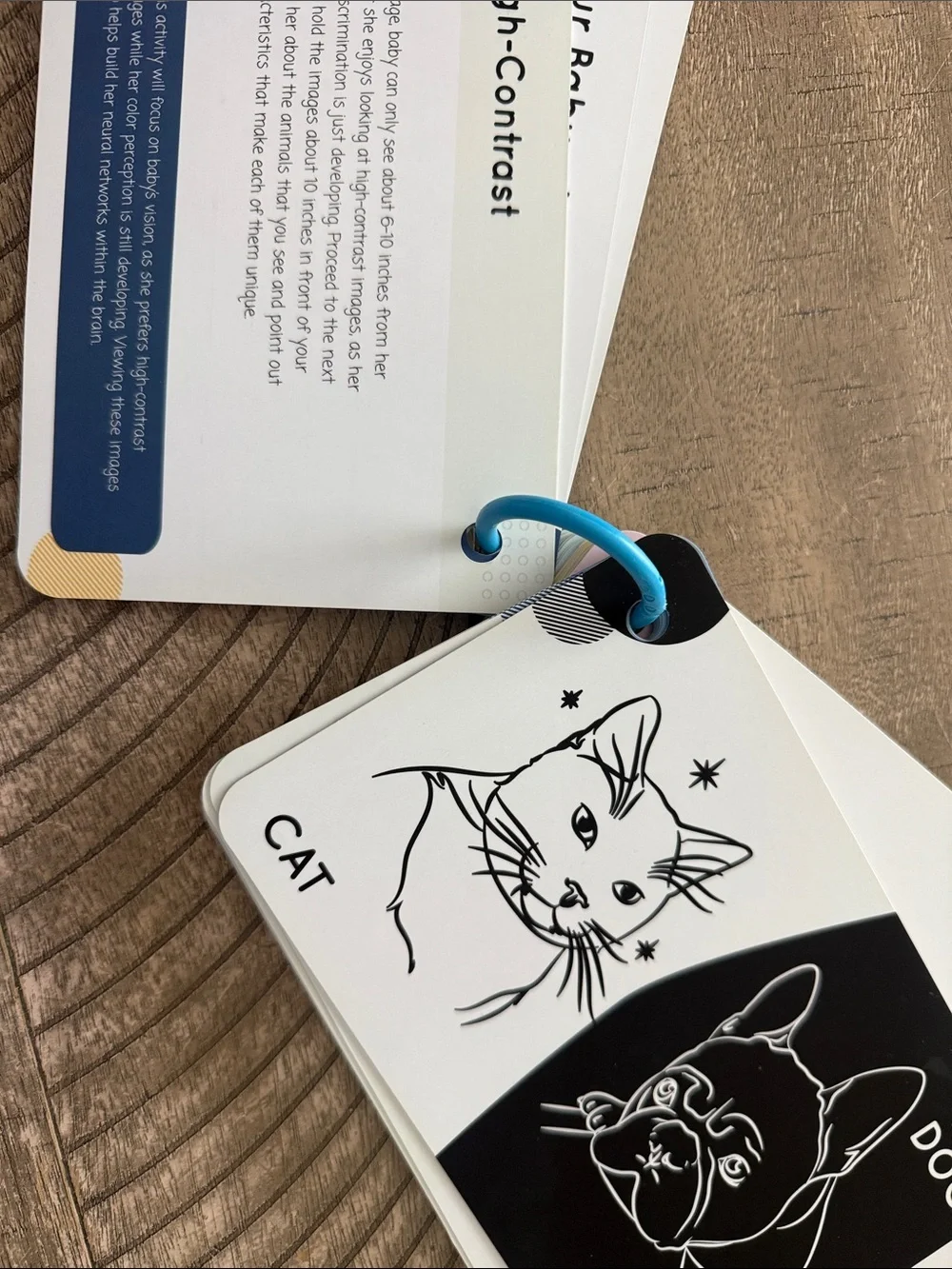 LoveEvery Curious Baby Activity Cards